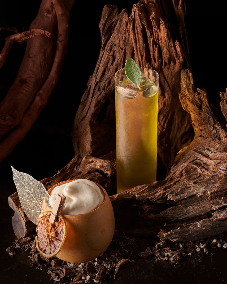 Botanical Synthesis cocktails styled with roots and wood